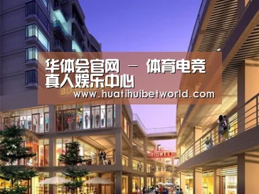 案例展示一