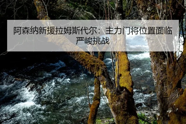 阿森纳新援拉姆斯代尔：主力门将位置面临严峻挑战