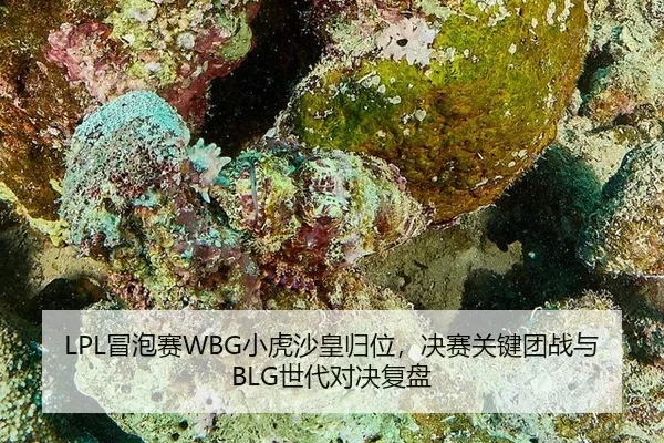mao-pao-sai-xiao-hu-sha-huang-gui-wei-jue-sai-guan-jian-tuan-zhan-yu-shi-dai-dui-jue-fu-pan-3-955.jpg